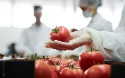 CIP Chemicals for Food Processing: What Works, What Doesn’t, and How to Optimize
