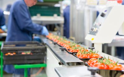 Efficient CIP Additives for Food Processing