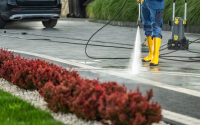 Professional Soft Wash Cleaning with EPC Products