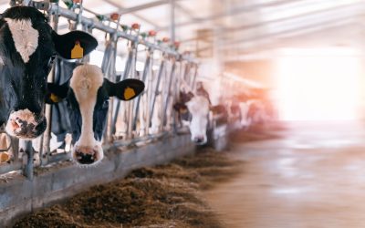Sustainable CIP Additives for Dairies
